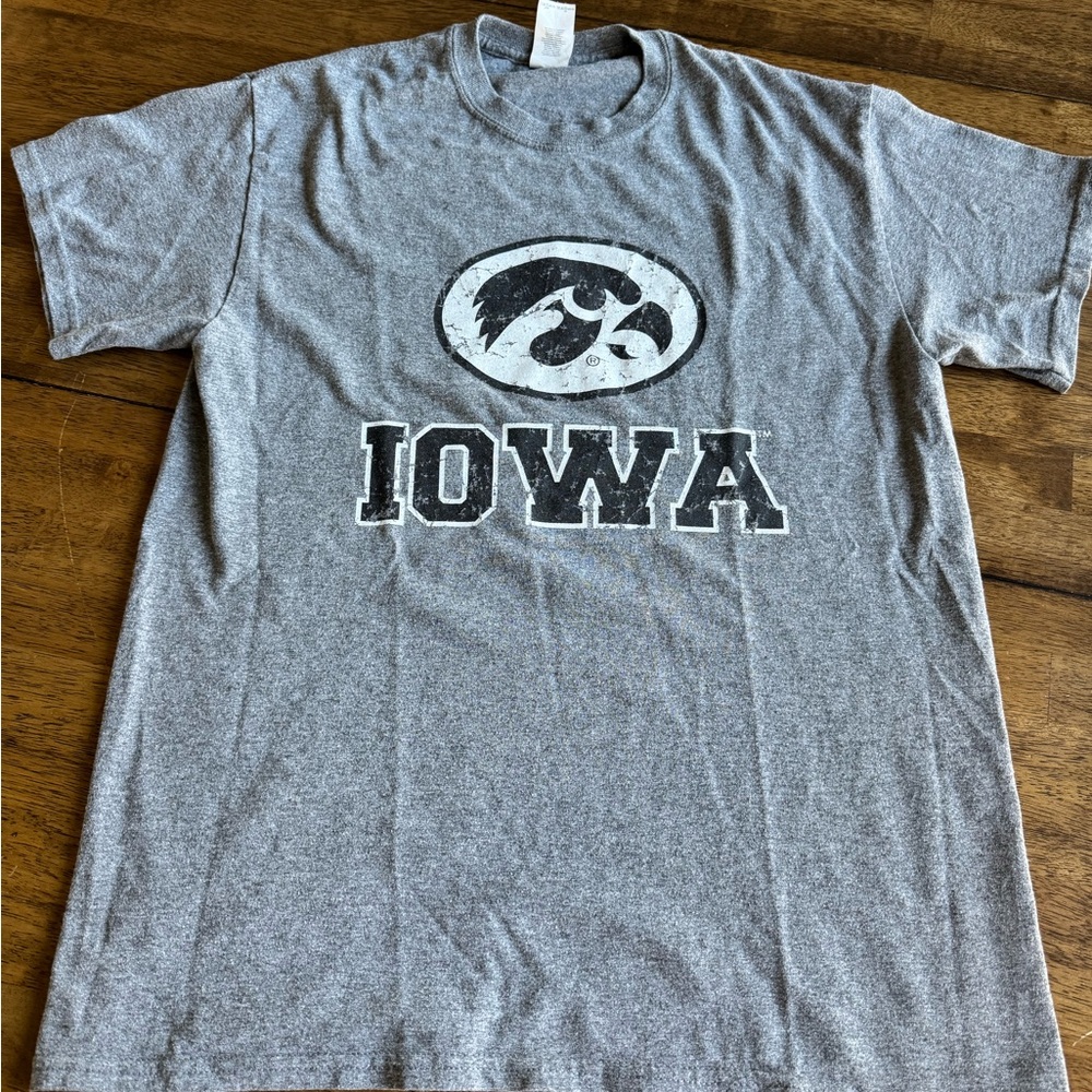 Gray Iowa Graphic Men's T-Shirt